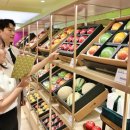 자연청과 이미지