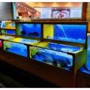 중대로9길 이미지