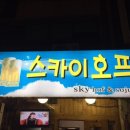 스카이호프 이미지