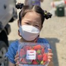 봄이네 농장 이미지