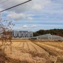 베스트 모텔 네이버블로그