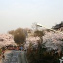 산삼한의원 이미지