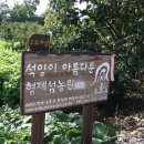 석양이아름다운형제섬농원