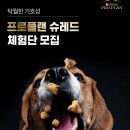슈레드