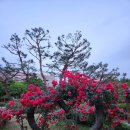 발산근린공원 화장실 이미지