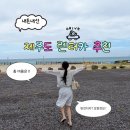 정보카 | [제주도 렌트카] 제주여행 덤탱이없는 깔끔한 sk렌터카 내돈내산 후기 + 셔틀정보, sk렌트카 보험정보