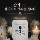 호주·뉴질랜드 여행 준비물 추천! 뉴질랜드 N년차가 직접 써본 여행용 멀티탭·멀티어댑터 후기