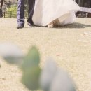 앤글래스풀빌라 이미지