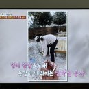 스타민박 이미지