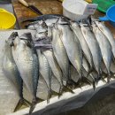 묵호상회 이미지