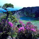 고산가 Daum카페