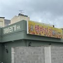 해바라기 분식 | 제주 공항 근처 맛집 순두부찌개 신해바라기분식 혼밥후기