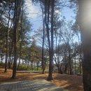 대한 고기 만세 | 천안 독립기념관 캠핑장 만세존 후기