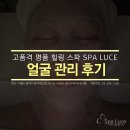 스파루체 이미지