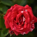 누리 행정사사무소 이미지