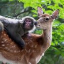 대한항공(주) 이미지