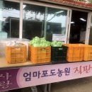 엄마사랑농원 이미지