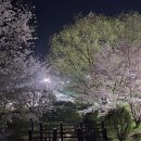 옥천 상계 체육시설 이미지