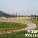 북면수변공원(야구장) 이미지