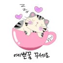 러블리몽 이미지