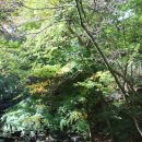 두륜산관광펜션 | [전남 가을여행] 해남 대흥사 이른 단풍여행