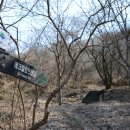 금대에코힐링캠핑장 이미지