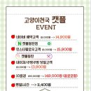 캣플 동탄점 이미지