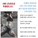 굿피트코리아 이미지