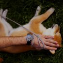 계양SKY동물메디컬센터 이미지