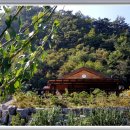 여왕벌민박 이미지