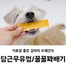 밤시(BAMSI) | 강아지 간식 추천 / 밤시 당근우유껌 / 꿀꿀꽈배기 급여후기