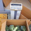 토담농장 이미지