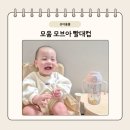 들림 | ​8개월 아기 빨대컵 유목민 탈출! 사례 들림 없는 모브아빨대컵 사용 후기