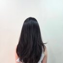서교동미용실 지모헤어 홍대점 미라클클리닉 후기