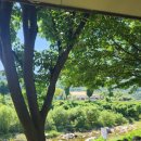 풍차와 시냇물 이미지