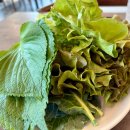 용시길 | 김천 맛집 오리 불고기 고기 점심 특선 가족 외식 추천 무학산 오리 하우스 방문 후기