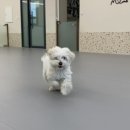 멍앤미 이미지
