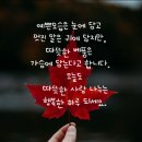 샛별여행 이미지