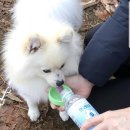 동우생수유통