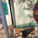 동산동 주민센터 이미지