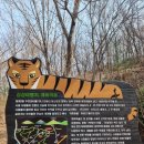 개미여행사
