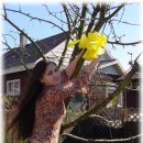 옐로블루 이미지