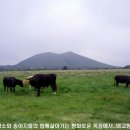 금수목장 이미지