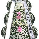 2023-03-0111 - 완주군 | 2023-03-0111