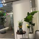 신사연정신건강의학과의원 이미지