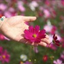 실버로빅(에어로빅) 이미지