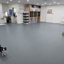 살랑살랑 멍치원 이미지