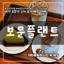 대전원명학교카페마루 | 보문산 카페 대사동 보문플랜트 대전시내가 내려다 보이는 뷰 맛집