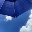 포도다방 이미지