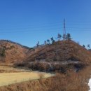 동락보건진료소 | 충청북도 충주시 신니면 문락리 산4 임야 경매.2017 타경 6104